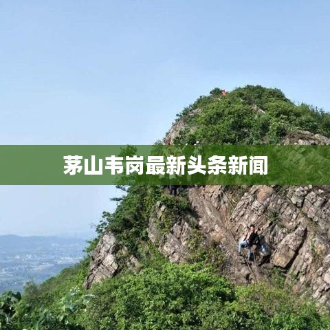茅山韦岗最新头条新闻