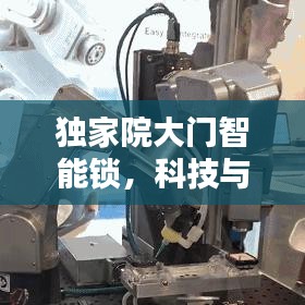 独家院大门智能锁，科技与安全的无缝融合