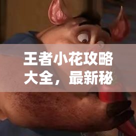 王者小花攻略大全，最新秘籍与战术汇总