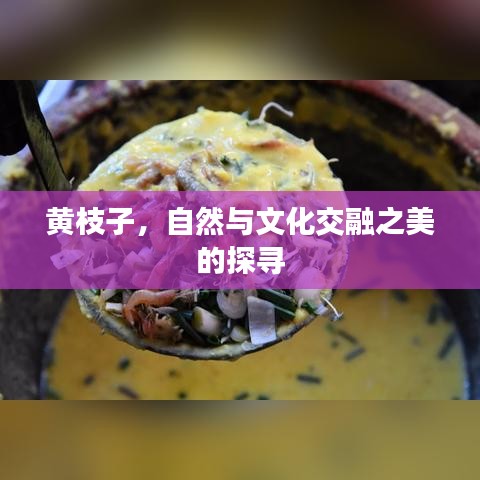 黄枝子，自然与文化交融之美的探寻