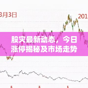 股灾最新动态，今日涨停揭秘及市场走势深度分析与应对策略