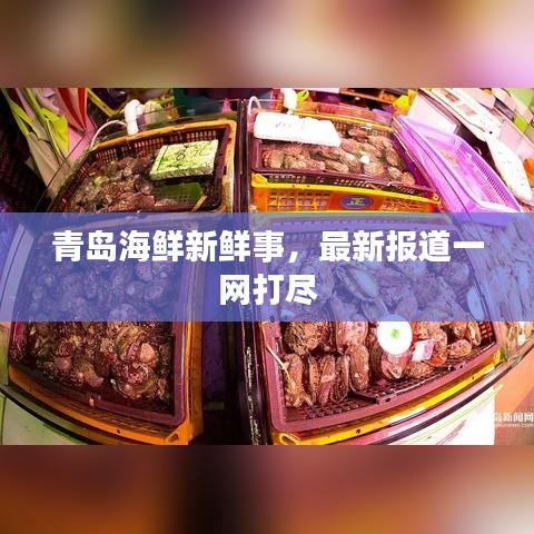 鸷鸟不群