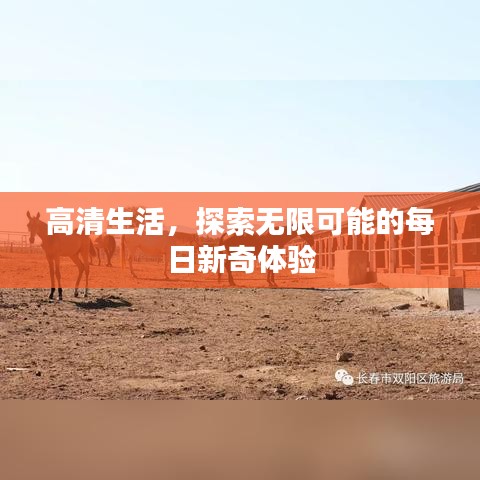 熊经鸟申