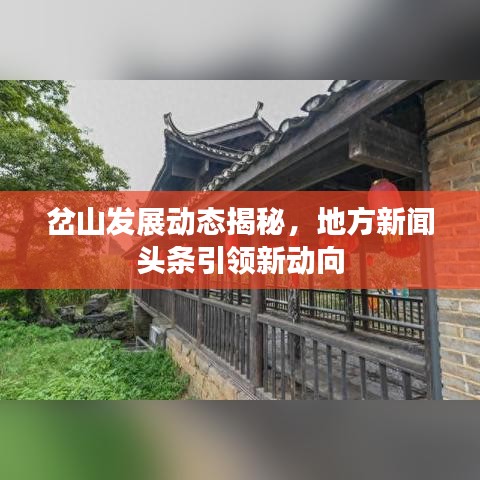 穷鸟入怀