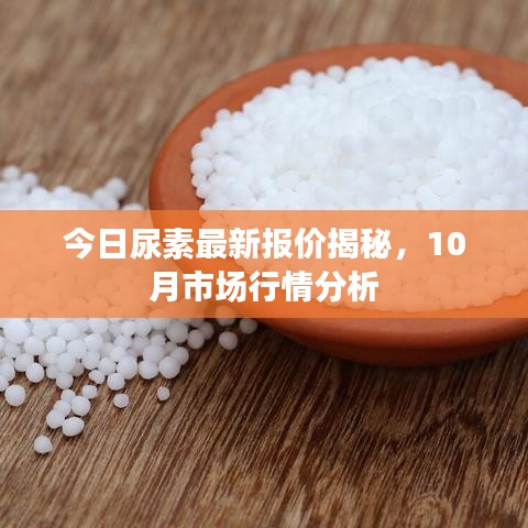今日尿素最新报价揭秘，10月市场行情分析