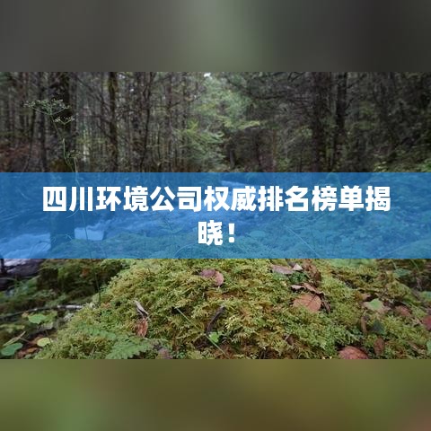 飞檐走壁