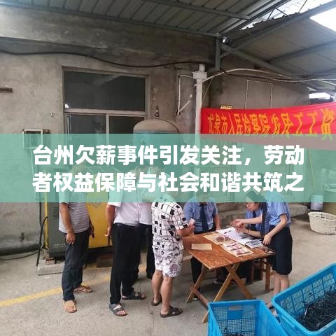 台州欠薪事件引发关注，劳动者权益保障与社会和谐共筑之路
