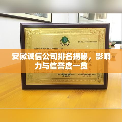 放生功德 第13页