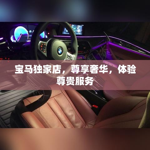 宝马独家店，尊享奢华，体验尊贵服务