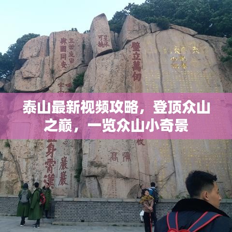 拾金不昧