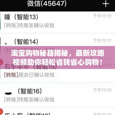 淘宝购物秘籍揭秘，最新攻略视频助你轻松省钱省心购物！