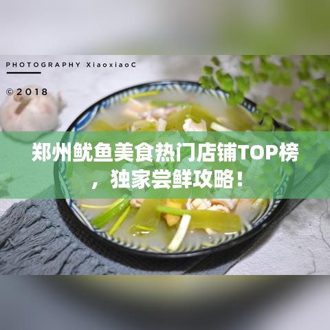 郑州鱿鱼美食热门店铺TOP榜，独家尝鲜攻略！