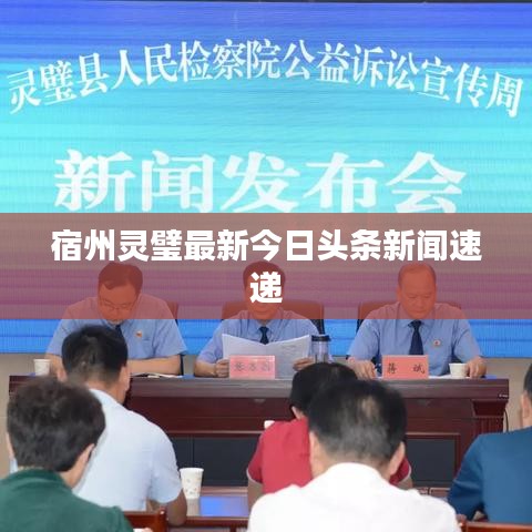宿州灵璧最新今日头条新闻速递