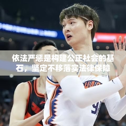 依法严惩是构建公正社会的基石，坚定不移落实法律保障