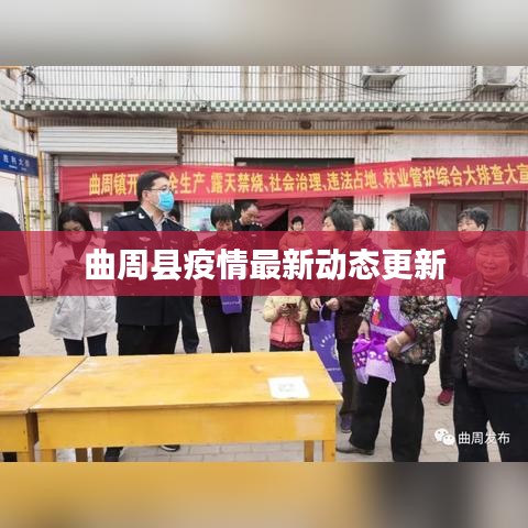 曲周县疫情最新动态更新