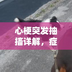 都中纸贵