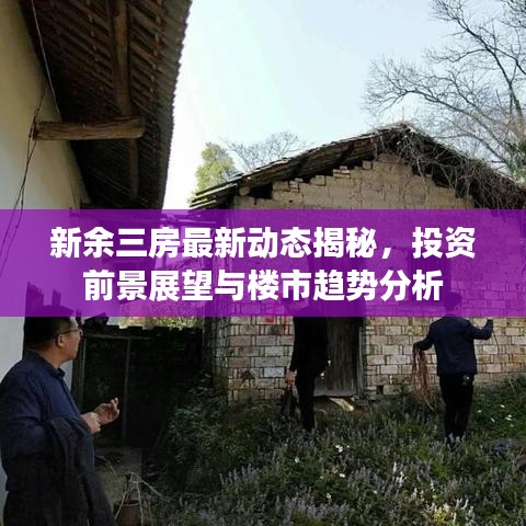 新余三房最新动态揭秘，投资前景展望与楼市趋势分析
