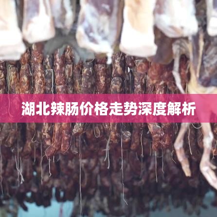 湖北辣肠价格走势深度解析