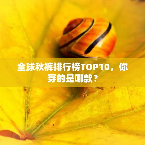 全球秋裤排行榜TOP10，你穿的是哪款？