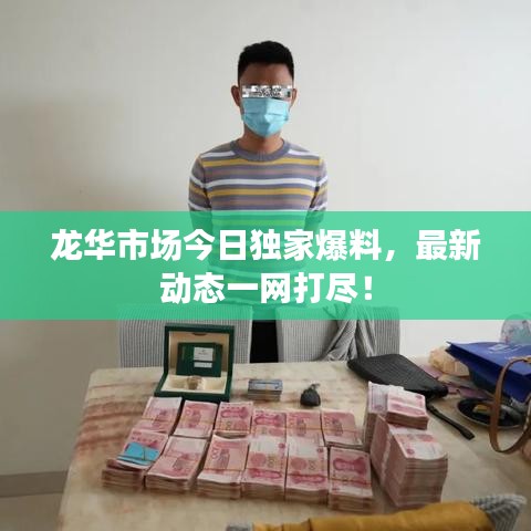 龙华市场今日独家爆料，最新动态一网打尽！