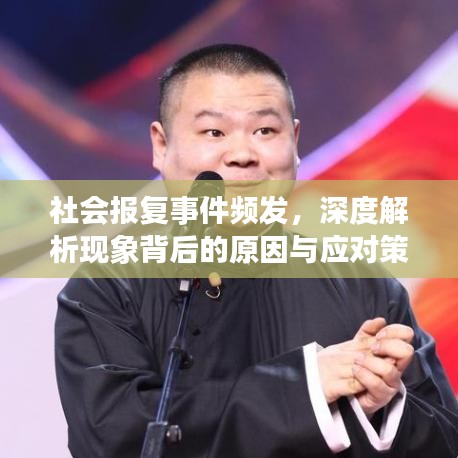 社会报复事件频发，深度解析现象背后的原因与应对策略