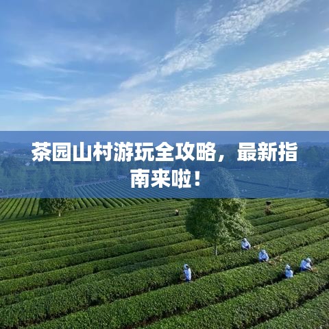 茶园山村游玩全攻略，最新指南来啦！