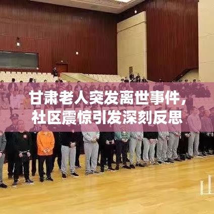 2025年4月 第3页