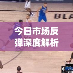 今日市场反弹深度解析，数据背后的市场动态与趋势展望