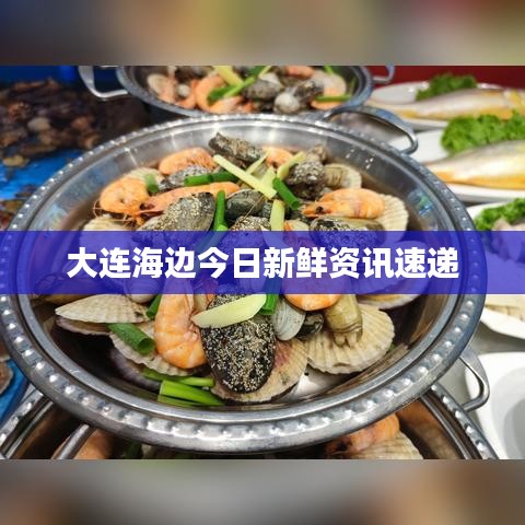 大连海边今日新鲜资讯速递