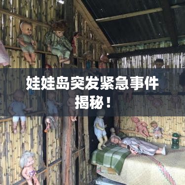 娃娃岛突发紧急事件揭秘！