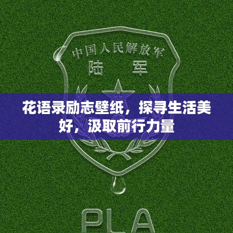 2025年5月5日