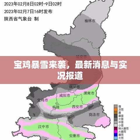2025年5月8日