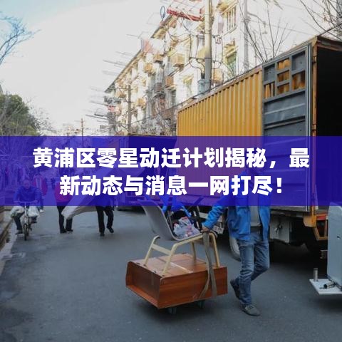 黄浦区零星动迁计划揭秘，最新动态与消息一网打尽！