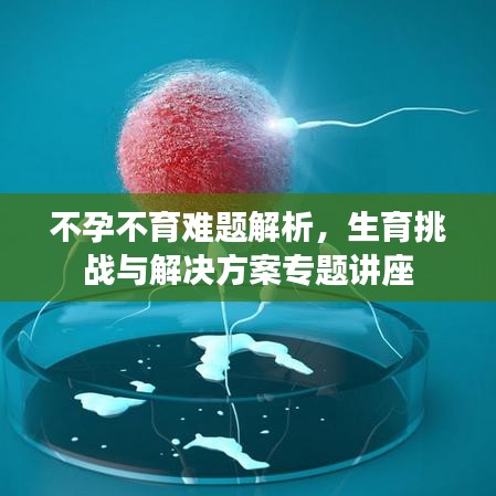 不孕不育难题解析，生育挑战与解决方案专题讲座