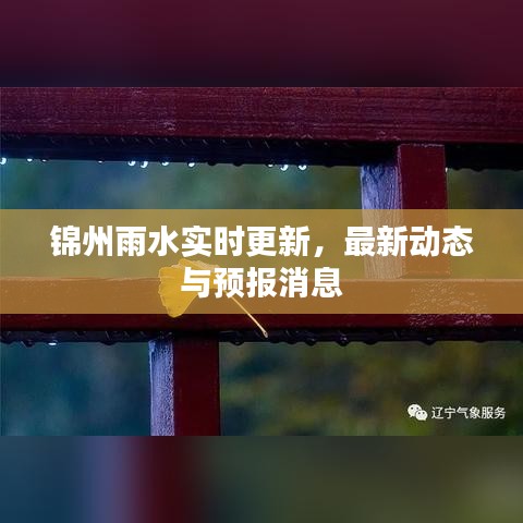 锦州雨水实时更新，最新动态与预报消息
