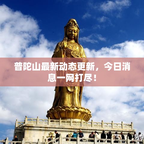 普陀山最新动态更新，今日消息一网打尽！
