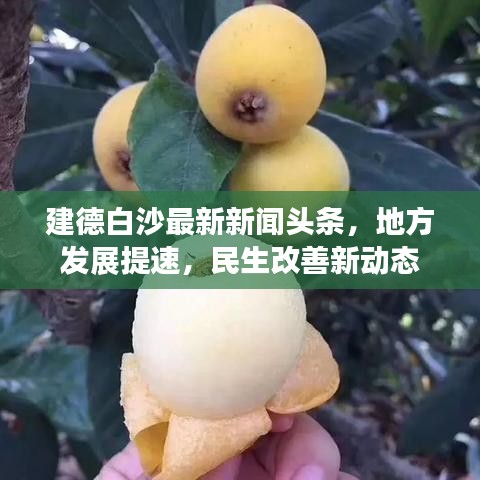 建德白沙最新新闻头条，地方发展提速，民生改善新动态