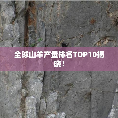 全球山羊产量排名TOP10揭晓！