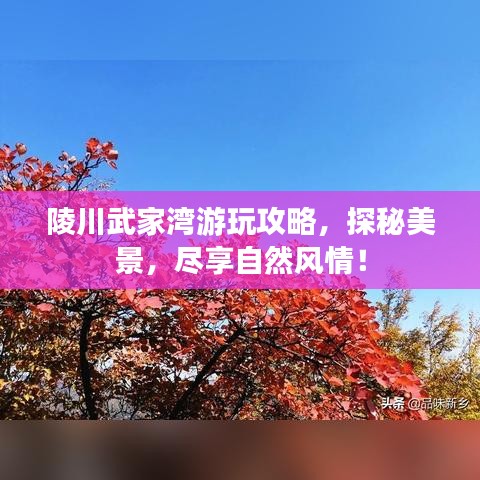 陵川武家湾游玩攻略，探秘美景，尽享自然风情！