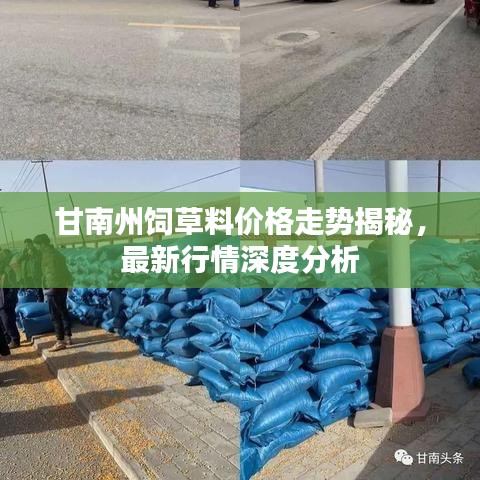 甘南州饲草料价格走势揭秘，最新行情深度分析