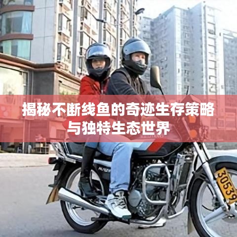 揭秘不断线鱼的奇迹生存策略与独特生态世界