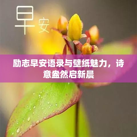 励志早安语录与壁纸魅力，诗意盎然启新晨