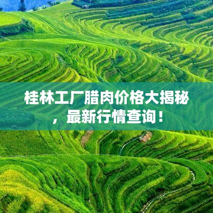桂林工厂腊肉价格大揭秘，最新行情查询！