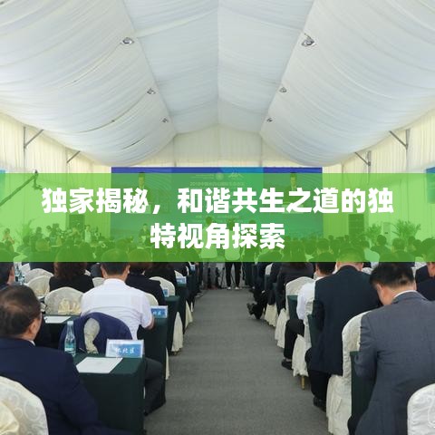独家揭秘，和谐共生之道的独特视角探索