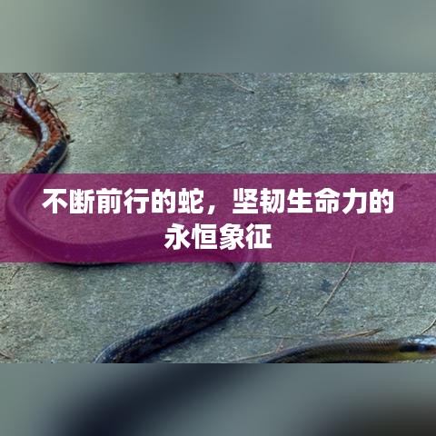 正襟危坐