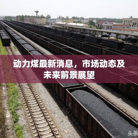 动力煤最新消息，市场动态及未来前景展望