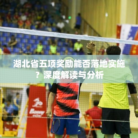 湖北省五项奖励能否落地实施？深度解读与分析