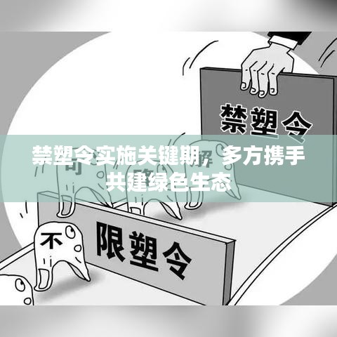 禁塑令实施关键期，多方携手共建绿色生态