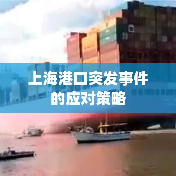 上海港口突发事件的应对策略