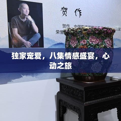 独家宠爱，八集情感盛宴，心动之旅